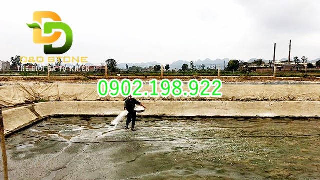 chon-voi-cho-thuy-san-dung-cach-on-nuoc-khoe-tom-ca