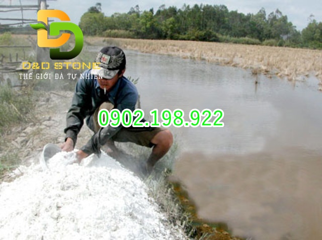 chon-voi-cho-thuy-san-dung-cach-on-nuoc-khoe-tom-ca