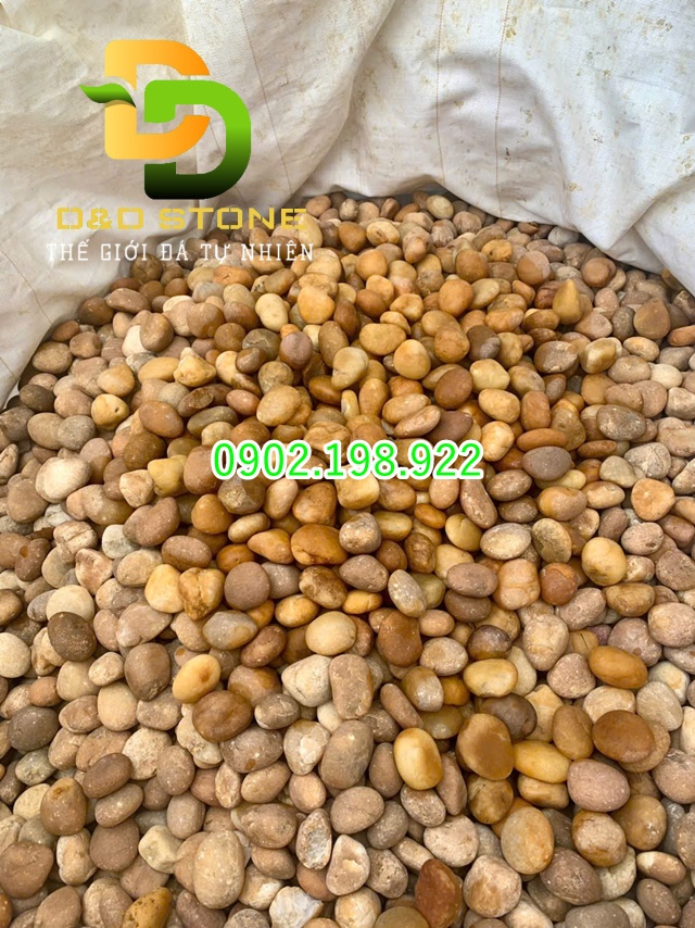 soi-vang-tu-nhien-diem-nhan-sang-trong-cho-moi-khong-gian-canh-quan