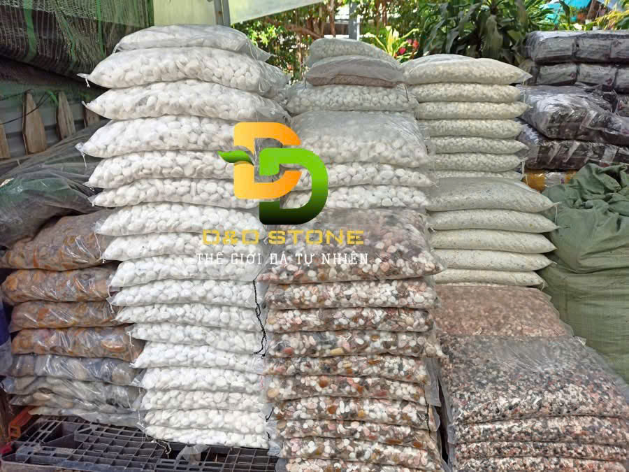 cac-loai-soi-quay-pho-bien-va-cach-phoi-canh-dep