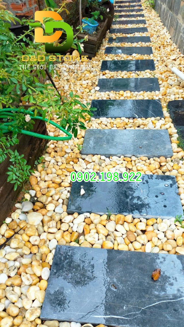 cach-chon-soi-trang-tri-phu-hop-cho-tieu-canh