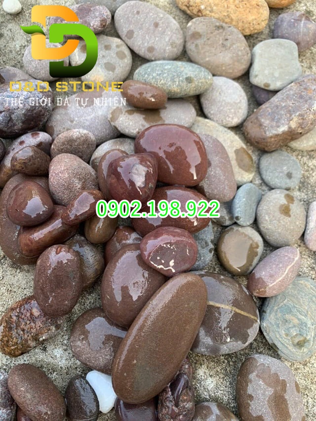 cach-chon-soi-trang-tri-phu-hop-cho-tieu-canh