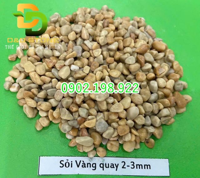 cac-loai-soi-quay-pho-bien-va-cach-phoi-canh-dep