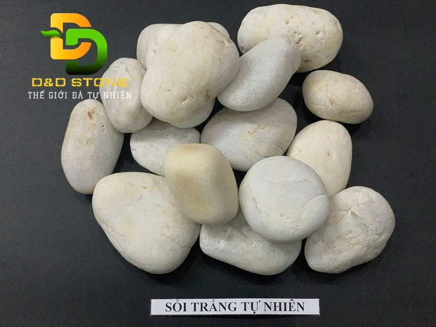 soi-trang-tu-nhien-vat-lieu-canh-quan-duoc-ua-chuong-hien-nay