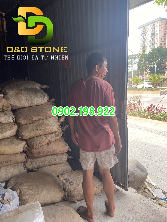 dia-chi-cung-cap-soi-trang-tri-uy-tin-chat-luong-cho-moi-cong-trinh-canh-quan