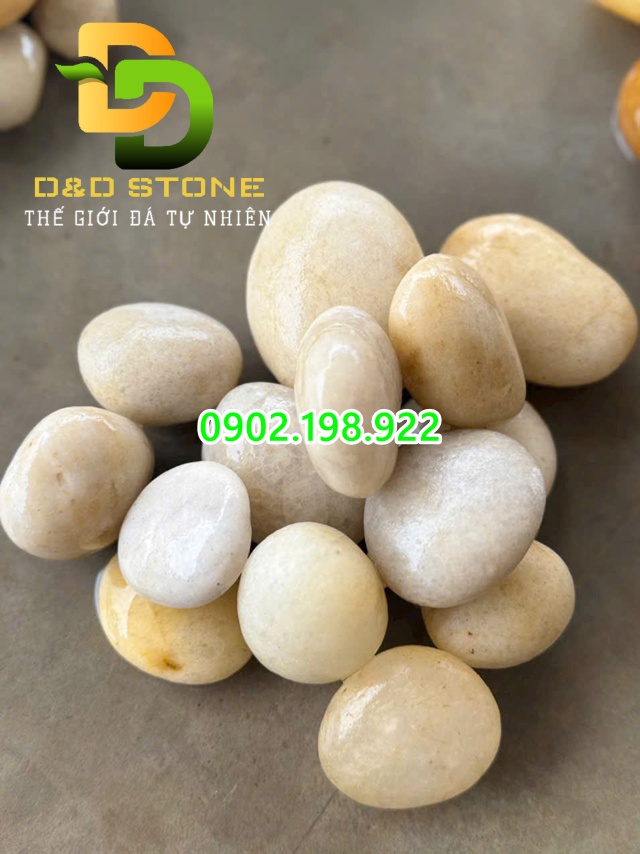 soi-trang-tu-nhien-vat-lieu-canh-quan-duoc-ua-chuong-hien-nay