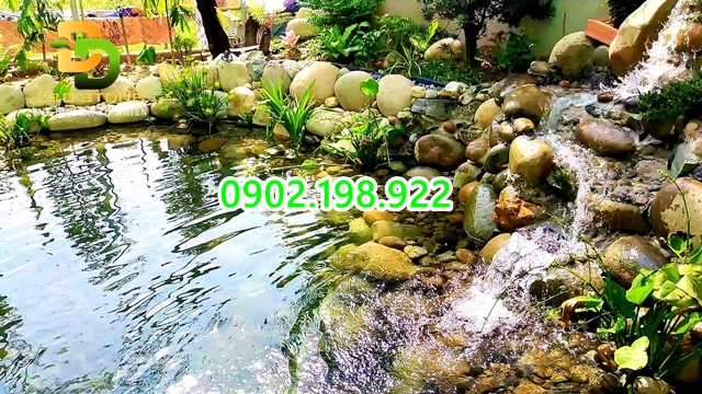 soi-nao-phu-hop-cho-ho-ca-koi-huong-dan-lua-chon-soi-dep-ben-va-an-toan
