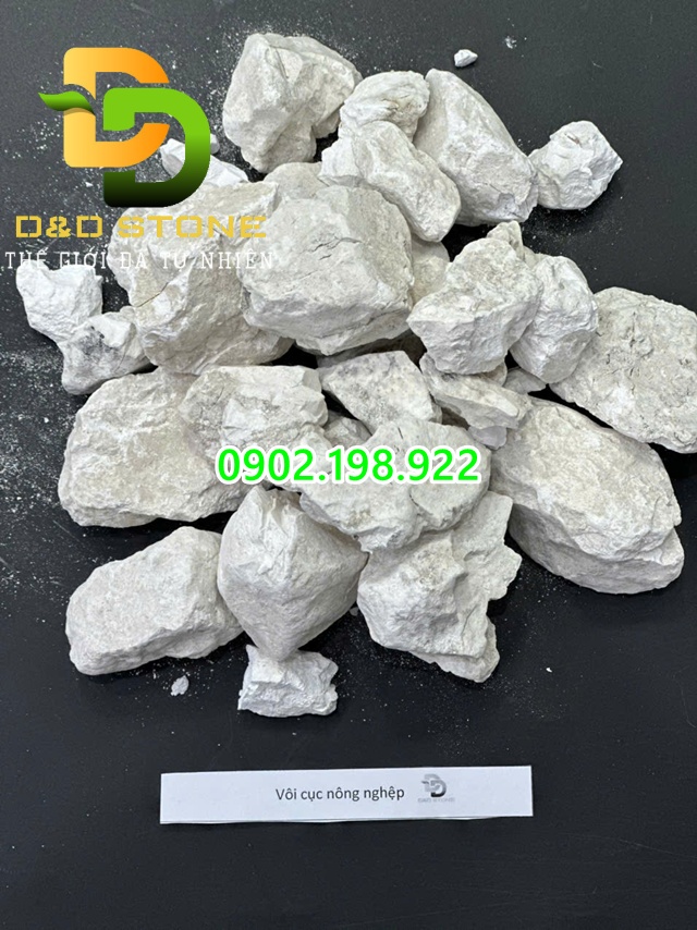 voi-cuc-co-doc-khong-nhung-dieu-can-biet-truoc-khi-su-dung