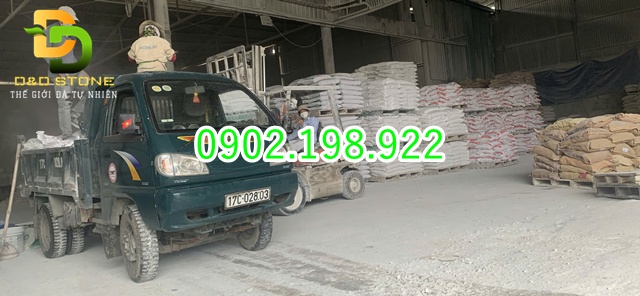 voi-cuc-co-doc-khong-nhung-dieu-can-biet-truoc-khi-su-dung